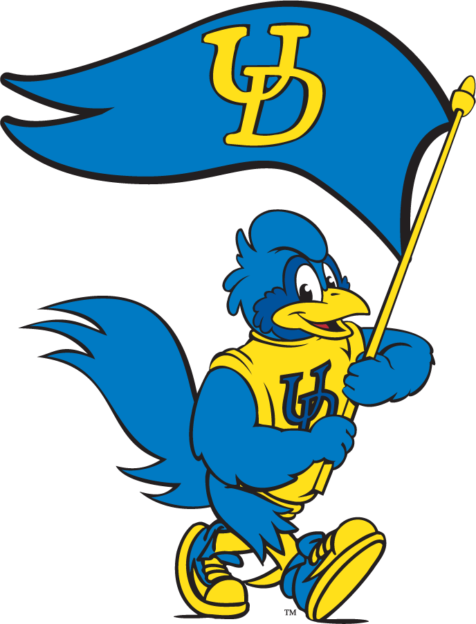 Delaware Blue Hens 1999-2009 Mascot Logo v16 t shirts iron on transfers